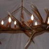 single tier elk antler chandelier