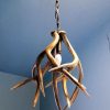 Mule deer antler pendant light