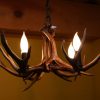 small mule deer antler chandelier