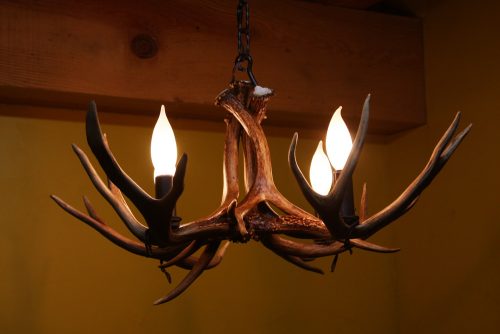 small mule deer antler chandelier