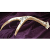 Dall sheep scrimshaw on antler