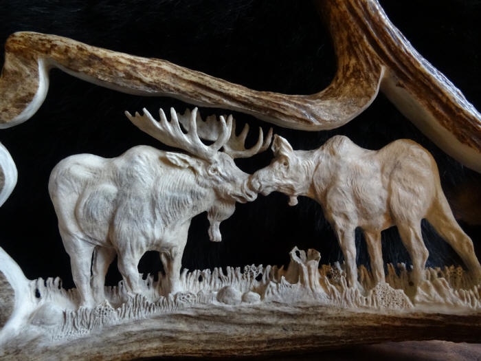 moose antler carving bull and cow moose