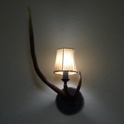 Axis deer antler sconce