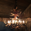 Whitetail deer antler chandelier porcupine