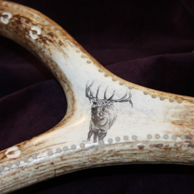 bugling bull elk scrimshaw