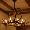 medium elk antler chandelier