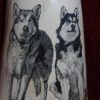 Our Alaska Malamute tribute scrimshaw