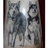 Alaska Malamute Ivory Scrimshaw