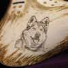 Alaska Malamute scrimshaw on antler