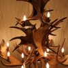 Moose Antler Chandelier 3 Tier