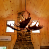 Moose Antler Chandelier - Mchugh Peak