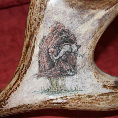 Muskox Scrimshaw antler art