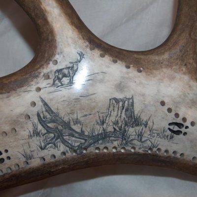 mule deer antler scrimshaw