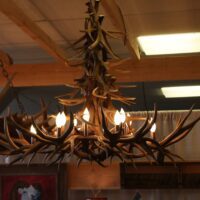 Mule deer antler chandelier casting golden glow in room