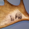 Grizzly Bear Scrimshaw antler art