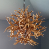 mule deer Antler ball Chandelier