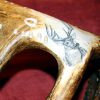 Whitetail deer scrimshaw on antler