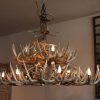 whitetail antler dining table light