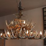 whitetail antler dining table light