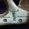 Bugling Bull Elk Scrimshaw