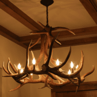 medium elk antler chandelier