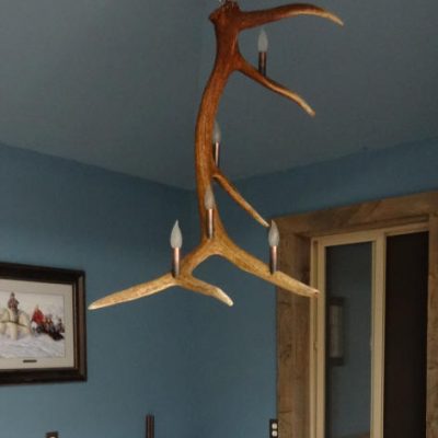 elk antler pendant light