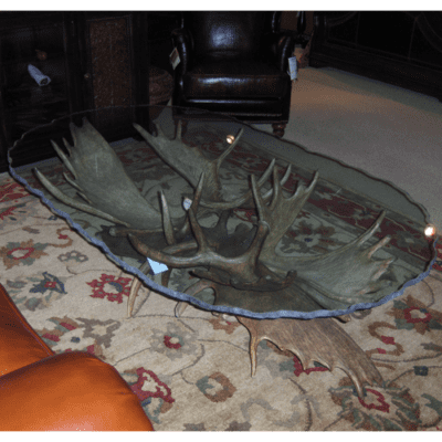 Moose Antler Coffee table - Sir Kodiak