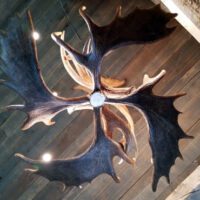 moose antler chandelier - mchugh