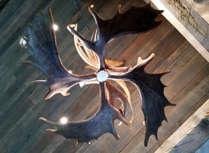 moose antler chandelier - mchugh