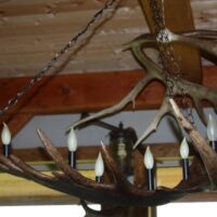moose antler light snowhawk