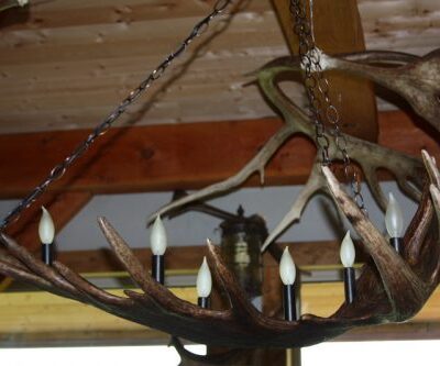 moose antler light snowhawk