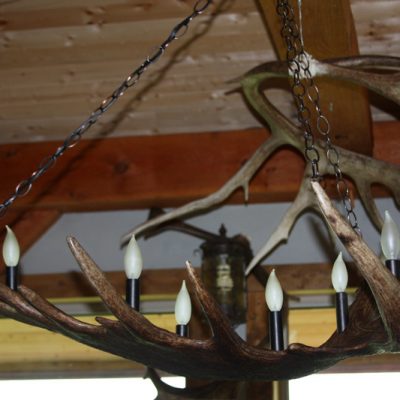 moose antler light snowhawk