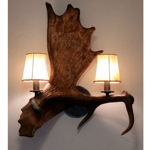 Moose Antler Fallow Deer Antler Sconce Montana Antler Works