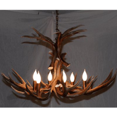 Flair mule deer antler chandelier