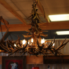 mule deer antler chandelier porcupine