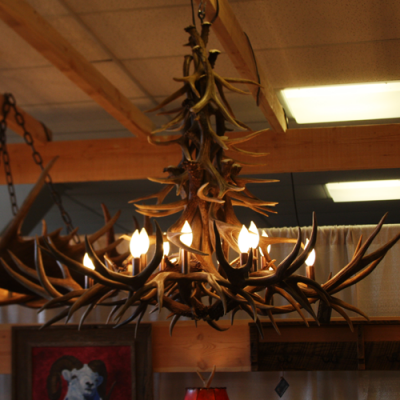 mule deer antler chandelier porcupine