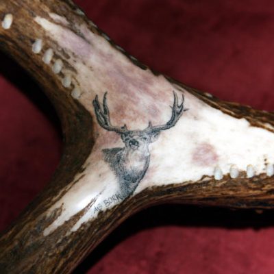 mule deer scrimshaw on antler cribbage board