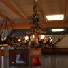 mule deer antler chandelier porcupine