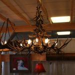 mule deer antler chandelier porcupine