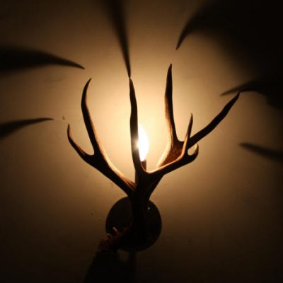 Antler Sconces