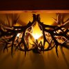 mule deer antler vanity light