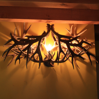 mule deer antler vanity light