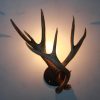 mule deer antler sconce