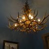 mule deer antler chandelier porcupine