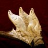 moose antler salmon carving