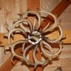 single tier whitetail chandelier