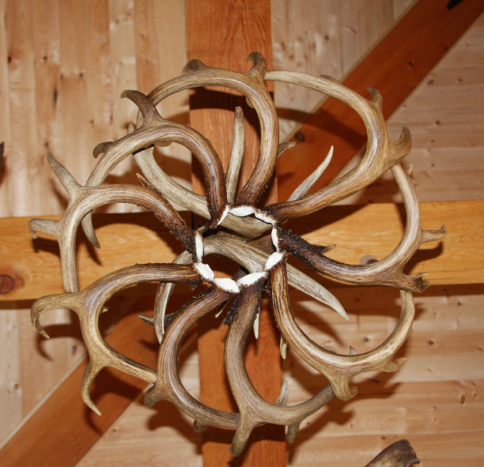 single tier whitetail chandelier