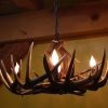 single tier whitetail chandelier