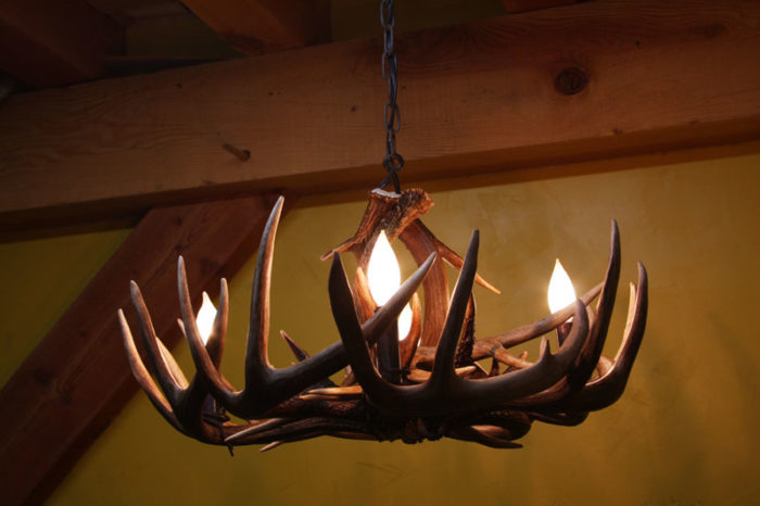 single tier whitetail chandelier