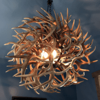 Whitetail Antler Ball Chandelier